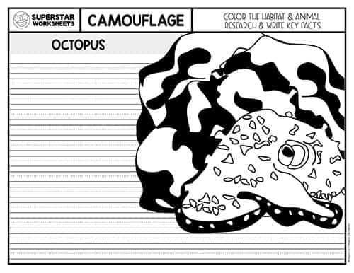 Animal Camouflage Worksheets