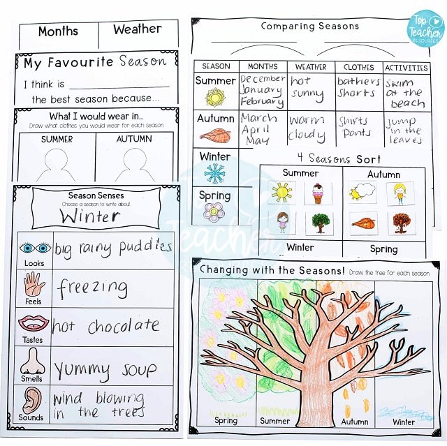Changing Seasons Worksheets